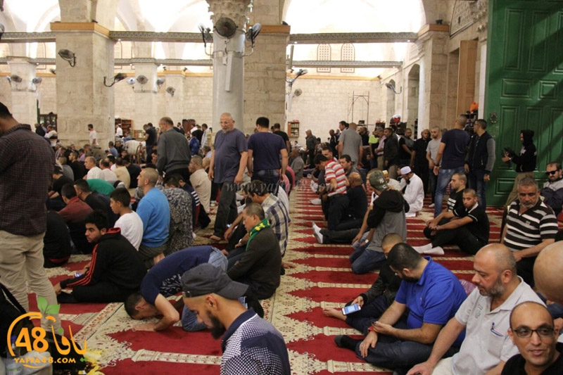 yaffa quds aqkq (34).jpg